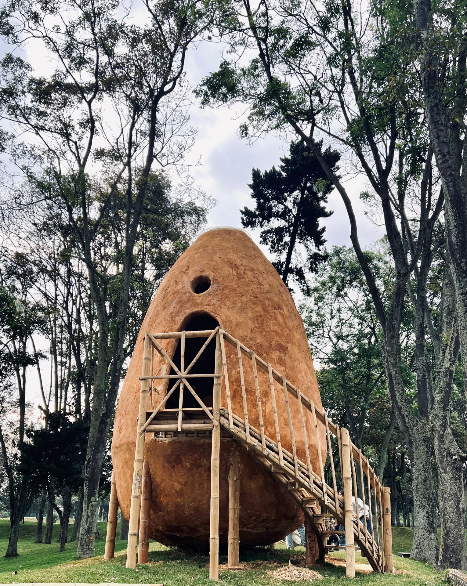 Semilla