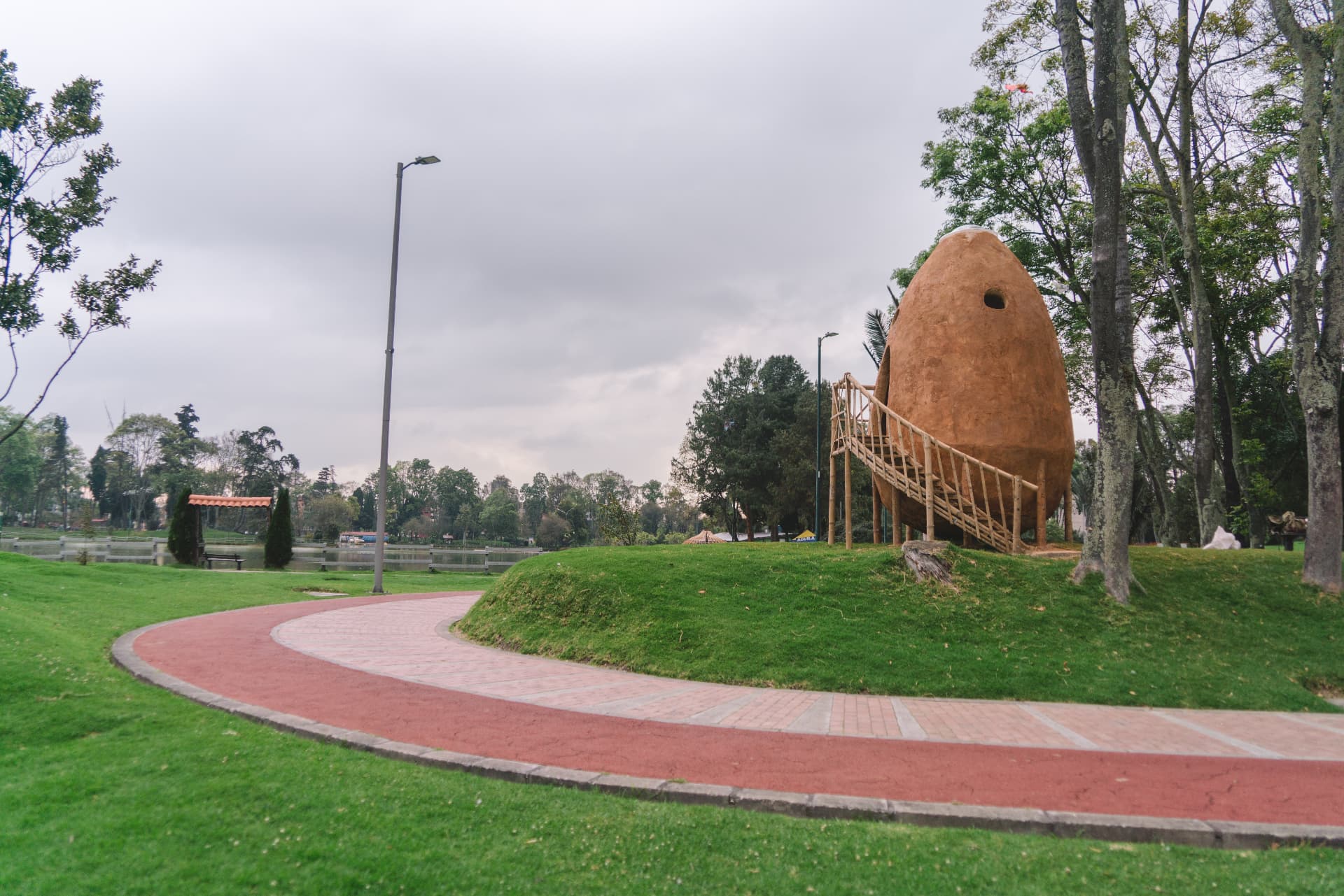 Semilla, vista 6